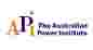 Australian Power Institute logo